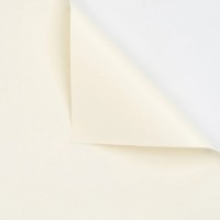 Hârtie coreană New World Full Color 58x58cm 242 Ivory 20pcs 