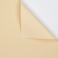 Hârtie coreană New World Full Color 58x58cm 243 Beige 20pcs