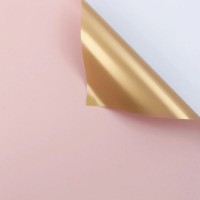 Hârtie coreană New World Gold 58x58cm 166 Light Pink 20pcs