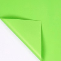 Hârtie coreană New World Juicy Color 58x58cm 083 Bright Green 20pcs 