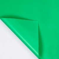 Hârtie coreană New World Juicy Color 58x58cm 095 Green 20pcs 