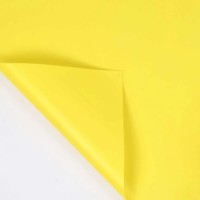 Hârtie coreană New World Juicy Color 58x58cm 242 Yellow 20pcs
