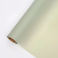 Hârtie coreană New World Matte 58cm 134 Pastel Green 20m