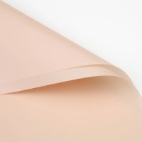 Hârtie coreană New World Matte 58x58cm 053 Peach 20pcs