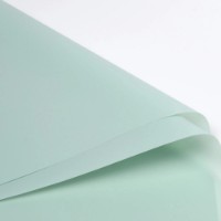 Hârtie coreană New World Matte 58x58cm 134 Pastel Green 20pcs