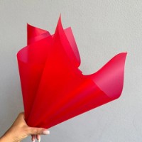 Hârtie coreană New World Matte DS 58x58cm 012 Red 20pcs