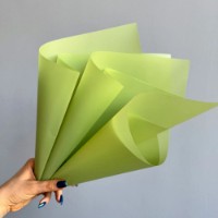 Hârtie coreană New World Matte DS 58x58cm 082 Pastel Green 20pcs