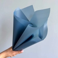 Hârtie coreană New World Matte DS 58x58cm 105 Carolina Blue 20pcs