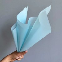 Hârtie coreană New World Matte DS 58x58cm 132 Sky Blue 20pcs