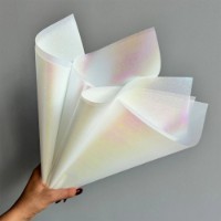 Hârtie coreană New World Northern Lights 58x58cm 111 White 20pcs imaginea #2 — magazin online Desire.md
