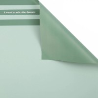 Hârtie coreană New World Three Stripes 58x58cm 095 Green 20pcs
