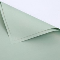 Hârtie coreană New World Victory 57x57cm 085 Pastel Green 20pcs
