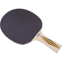 Rachetă pentru tenis de masă Donic Top Team Level 300 (705031) imaginea #3 — magazin online Desire.md