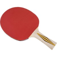 Rachetă pentru tenis de masă Donic Top Team Level 300 (705031) imaginea #4 — magazin online Desire.md