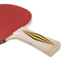Rachetă pentru tenis de masă Donic Top Team Level 300 (705031) imaginea #5 — magazin online Desire.md
