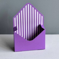 Конвертик New World ENVL-01 411 Violet/Stripes