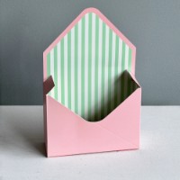 Конвертик New World ENVL-01 681 Pink/Green Stripes