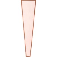 Цветочный конус New World Golden Edge Light Pink 50pcs