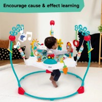 Centru de activitați Bright Starts Baby Einstein 2in1 Farm Explorers (17515) imaginea #3 — magazin online Desire.md