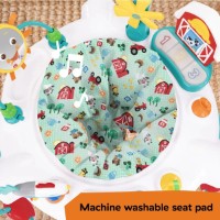 Centru de activitați Bright Starts Baby Einstein 2in1 Farm Explorers (17515) imaginea #7 — magazin online Desire.md