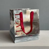 Пакет-переноска New World Love 24x25x25cm Silver