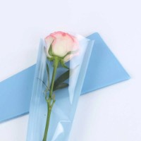 Цветочный конус New World Minimalism Light Blue 50pcs