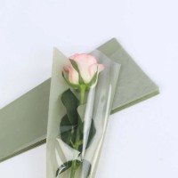 Цветочный конус New World Minimalism Lime 50pcs