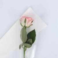 Цветочный конус New World Minimalism White 50pcs