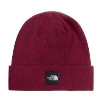 Шапка The North Face Dock Worker Recycled Burgundy Crush фото №3 — интернет-магазин Desire.md