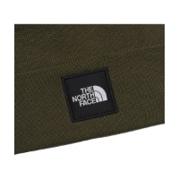 Шапка The North Face Dock Worker Recycled New Taupe Green фото №2 — интернет-магазин Desire.md