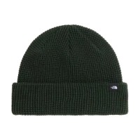 Шапка The North Face TNF Fisherman Bottle Green фото №3 — интернет-магазин Desire.md