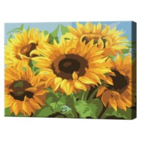 Tablou pe numere Art Gallery Premium Floarea soarelui 20x30cm (CX4964)