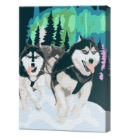 Tablou pe numere Art Gallery Premium Husky și aurora boreală 20x30cm (CX3831)