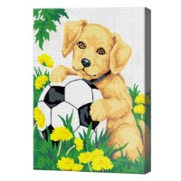 Картина по номерам Art Gallery Premium Щенок с футбольным мячом 20x30cm (CX3500)