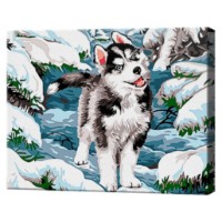 Tablou pe numere Art Gallery Premium Micul husky în pădurea înzăpezită 20x30cm (CX4178)
