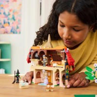 Set de construcție Lego Wicked: Glinda & Elphaba Visit Munchkinland (75690) imaginea #4 — magazin online Desire.md