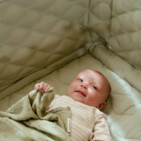 Protectie laterala pentru patut Little Dutch 28x180cm Pure Sage (LD-TE20915036) imaginea #2 — magazin online Desire.md