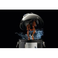 Коптильня Napoleon Apollo 18 (AS18K) фото №11 — интернет-магазин Desire.md