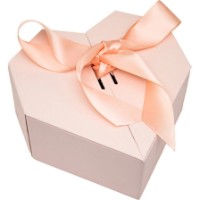 Подарочная коробка New World Heart 21x21x10cm Pink (VD-GB-H212110-P)