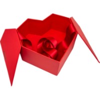 Подарочная коробка New World Heart 21x21x10cm Red (VD-GB-H212110-R) фото №2 — интернет-магазин Desire.md