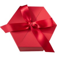 Подарочная коробка New World Hexagon 21x21x11cm Red (24l1402007)