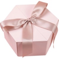 Подарочная коробка New World Hexagon 24x11x11cm Pink (24l1402006)
