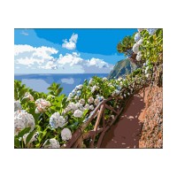 Tablou pe numere Strateg Цветы 40x50cm (GS1608)