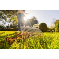 Greblă Gardena PureLine (17305-20) imaginea #2 — magazin online Desire.md