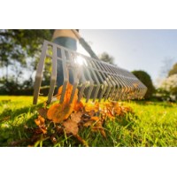 Greblă Gardena PureLine (17305-20) imaginea #5 — magazin online Desire.md