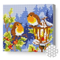 Mozaic cu diamante Art Gallery Premium Birds on a Snowy Lantern 20x20cm (BJ618)