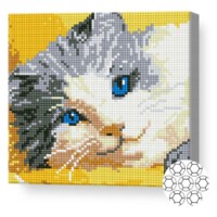 Mozaic cu diamante Art Gallery Premium Blue-Eyed Kitten 20x20cm (BJ829)
