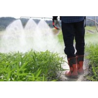 Pulverizator Husqvarna 321S15 imaginea #5 — magazin online Desire.md