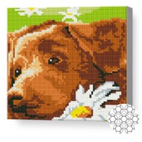 Mozaic cu diamante Art Gallery Premium Brown Dog 20x20cm (BJ767)
