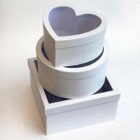 Набор коробок New World Transparent Trio 3pcs White (3807-08) 